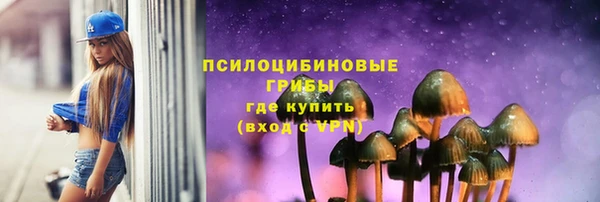 прущая мука Кинешма