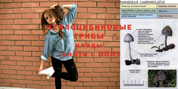 кокаин колумбия Коряжма